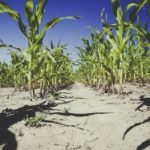 乐虎国际:探索在线娱乐新体验的最佳平台 5b4n069