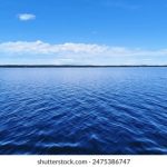 云顶国际网址:畅享娱乐与休闲的完美结合 80y1f3hz