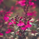 九乐棋牌游戏平台:畅享多样化游戏体验与精彩赛事 9v1922a2i