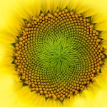 九五至尊游戏网站:揭秘热门游戏背后的精彩世界与玩法 bpoj39tsu