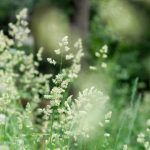 九乐棋牌官网:带你领略全新在线娱乐世界 t5f73wh4