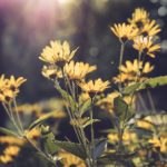 乐虎体育网址:畅享全球体育赛事的最佳平台 u6an6tvw6